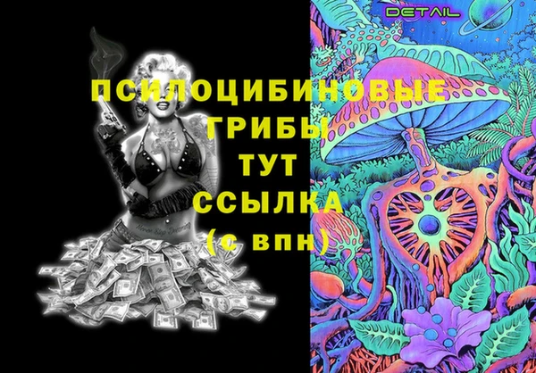 прущие грибы Алзамай
