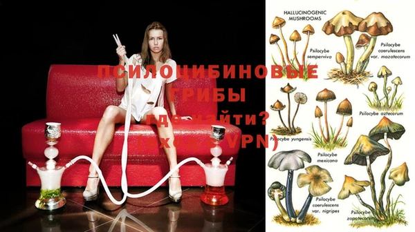 прущие грибы Алзамай