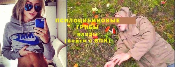 дживик Алексеевка