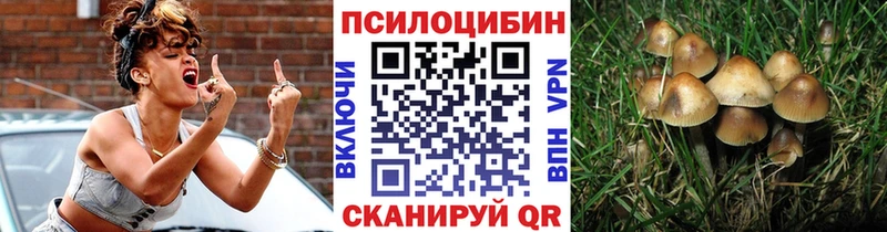 Псилоцибиновые грибы Cubensis  hydra онион  Данков  купить наркотик 